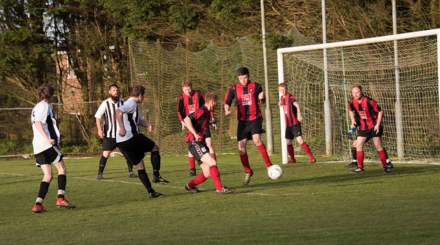 为进球的能 为进球的能