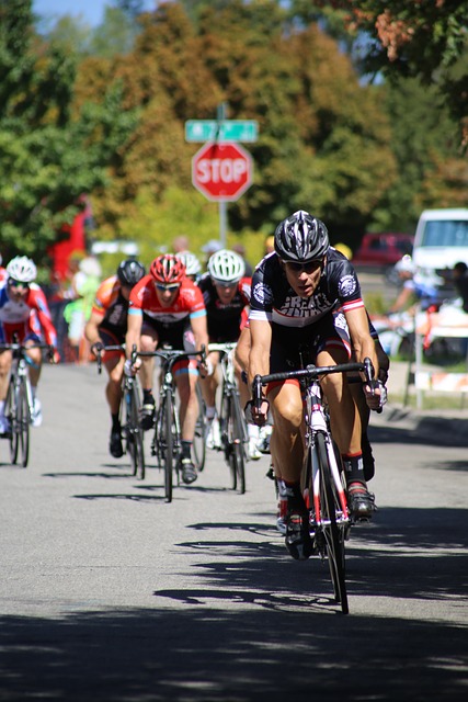 不仅证明了 不仅证明了