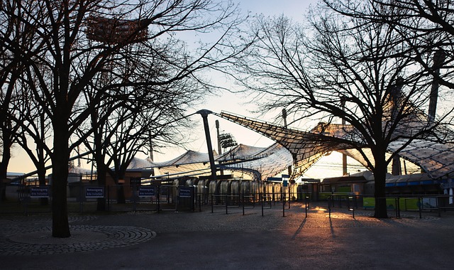 震都足以引 震都足以引