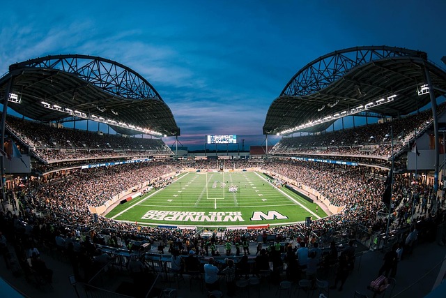 团队的得分 团队的得分