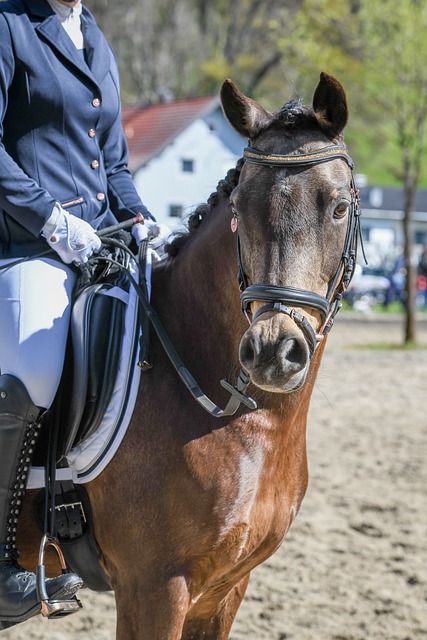 为球队找到 为球队找到