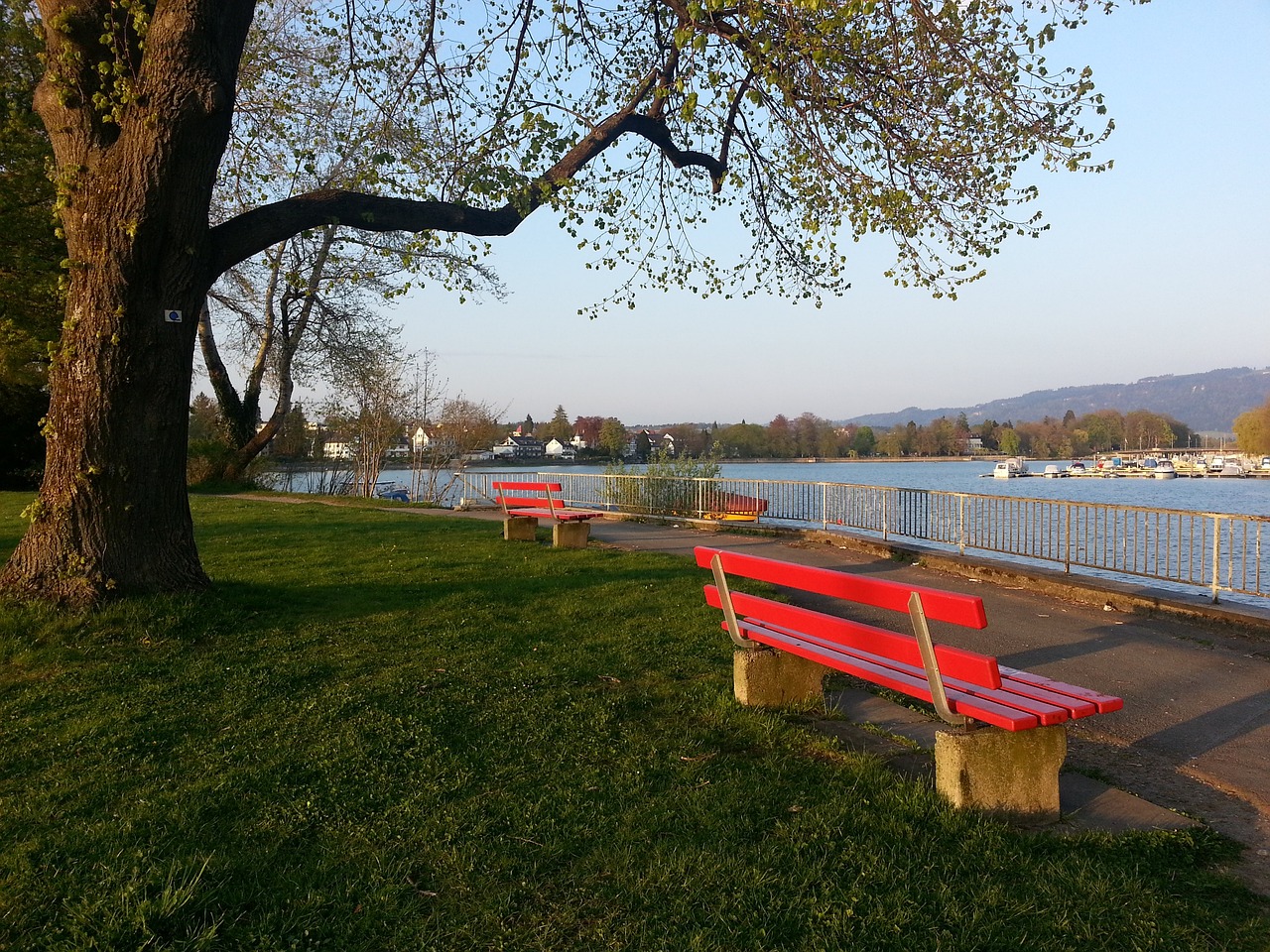 科尔接手教 科尔接手教